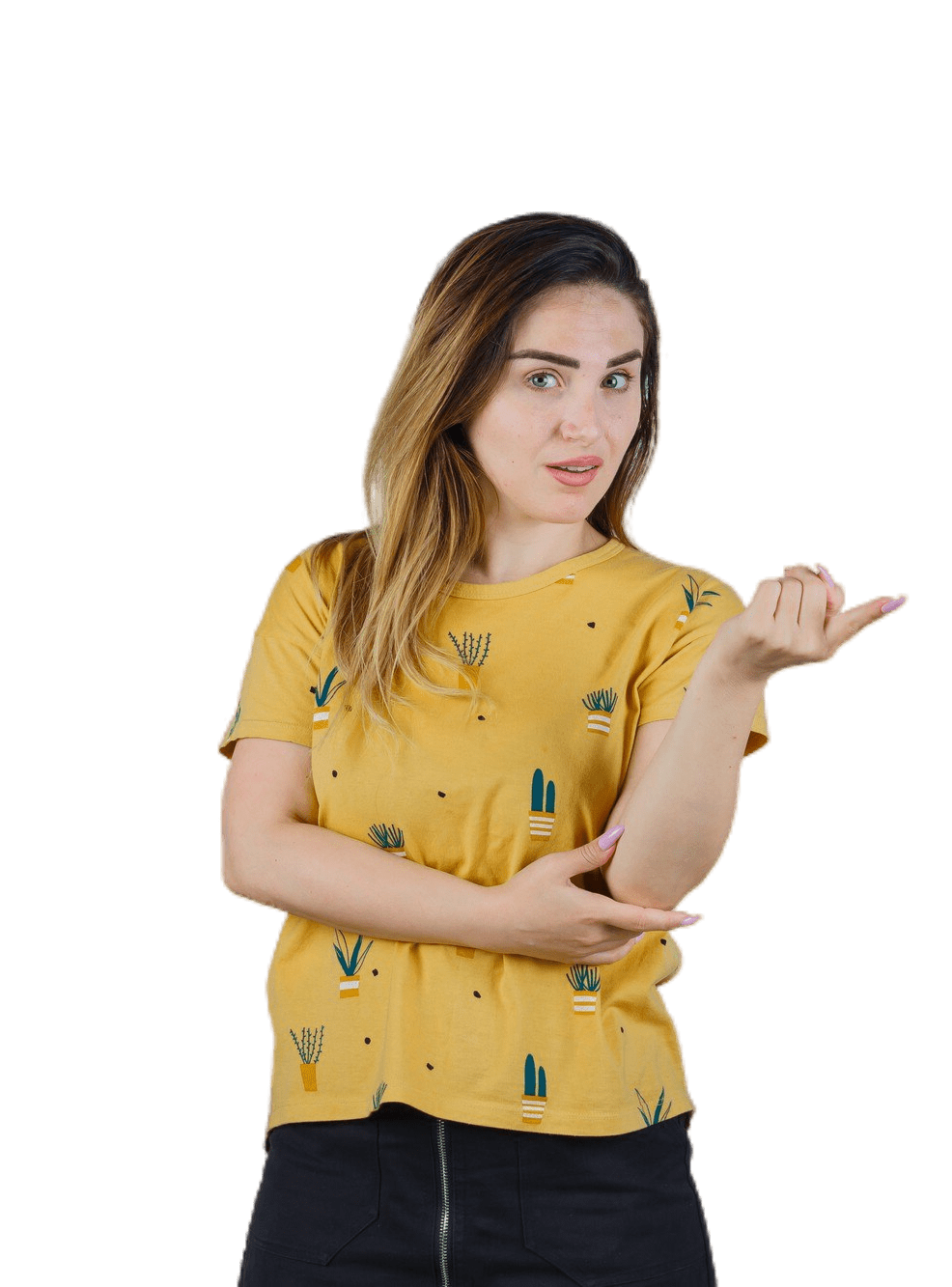 Software Testing with Automation Tools internship cum training program 6 download 12 e1724487379112